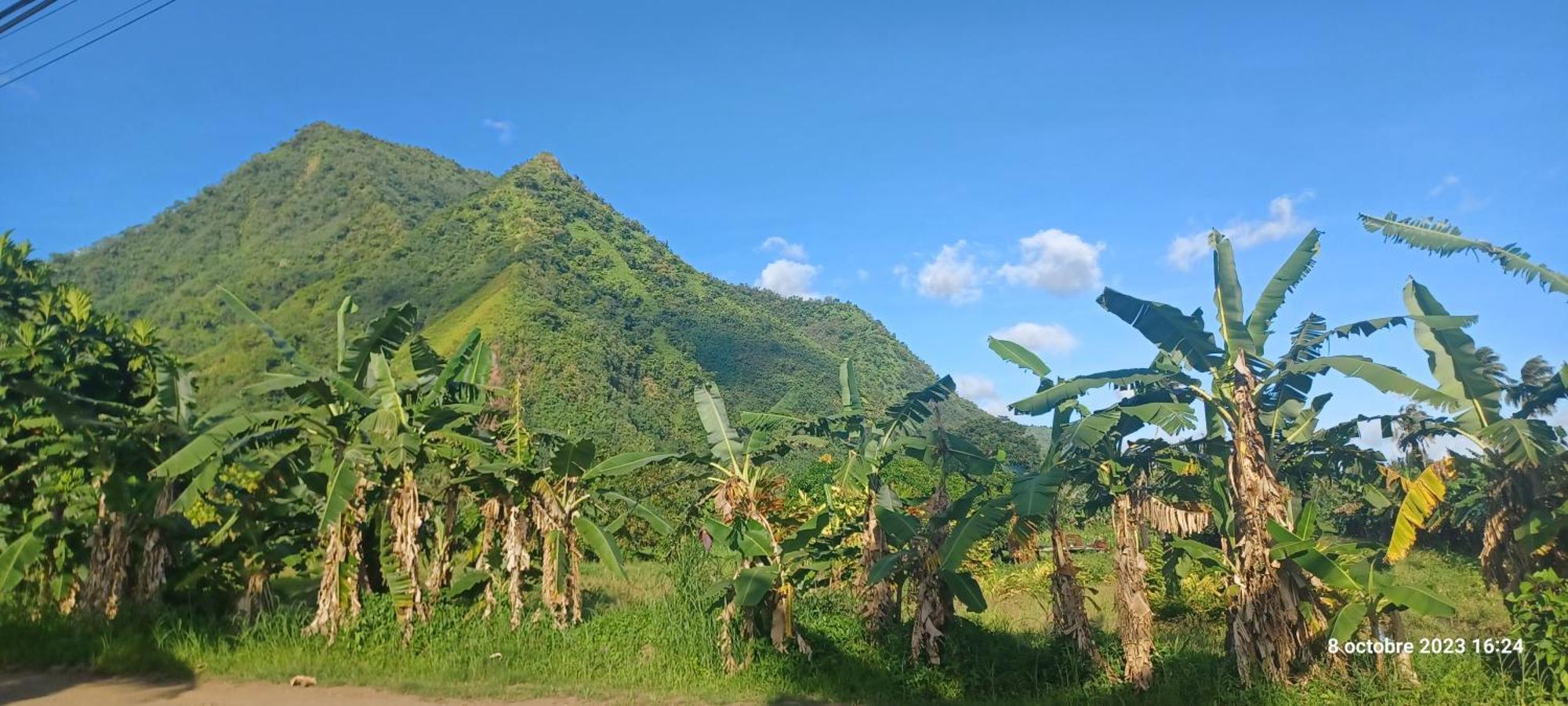 Hava'E Lodge Teahupoo Eksteriør billede
