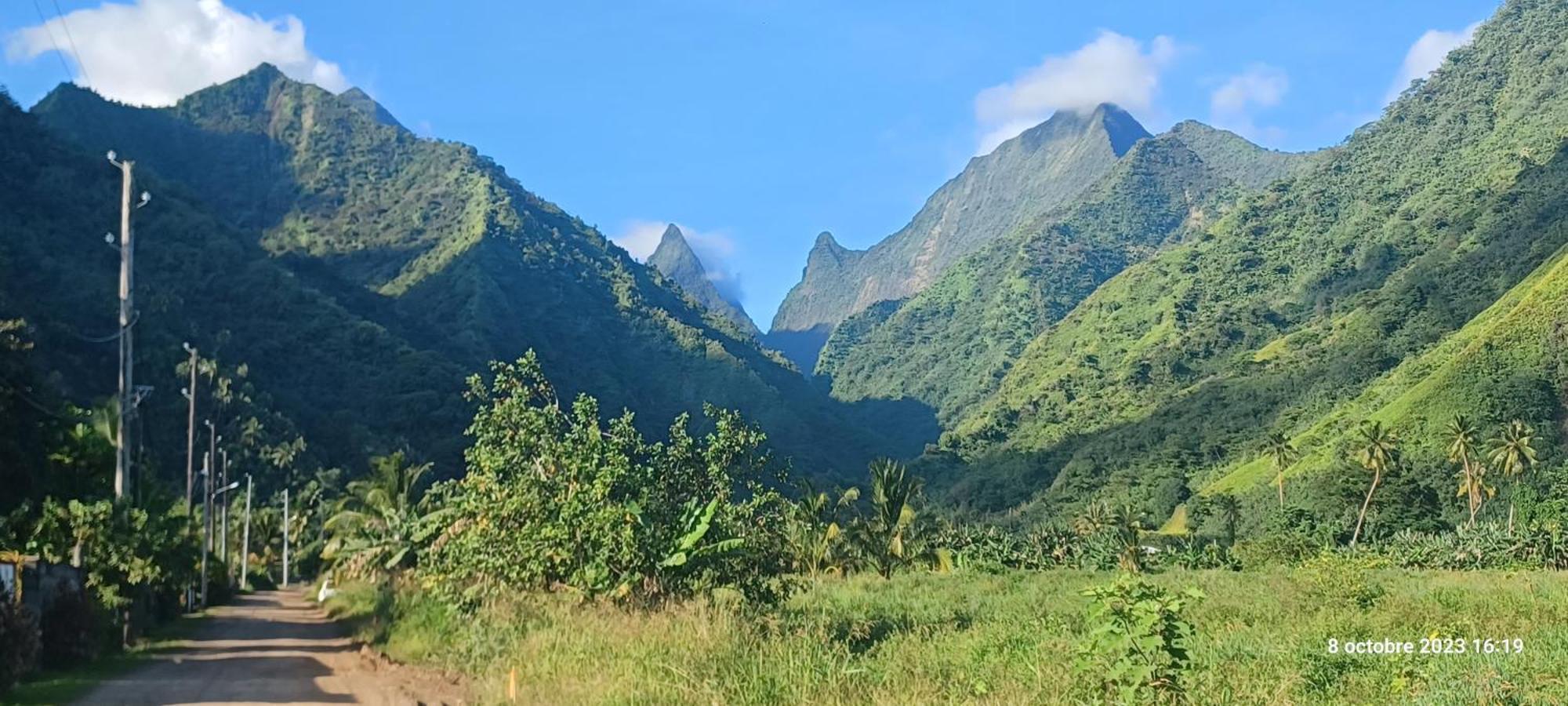 Hava'E Lodge Teahupoo Eksteriør billede