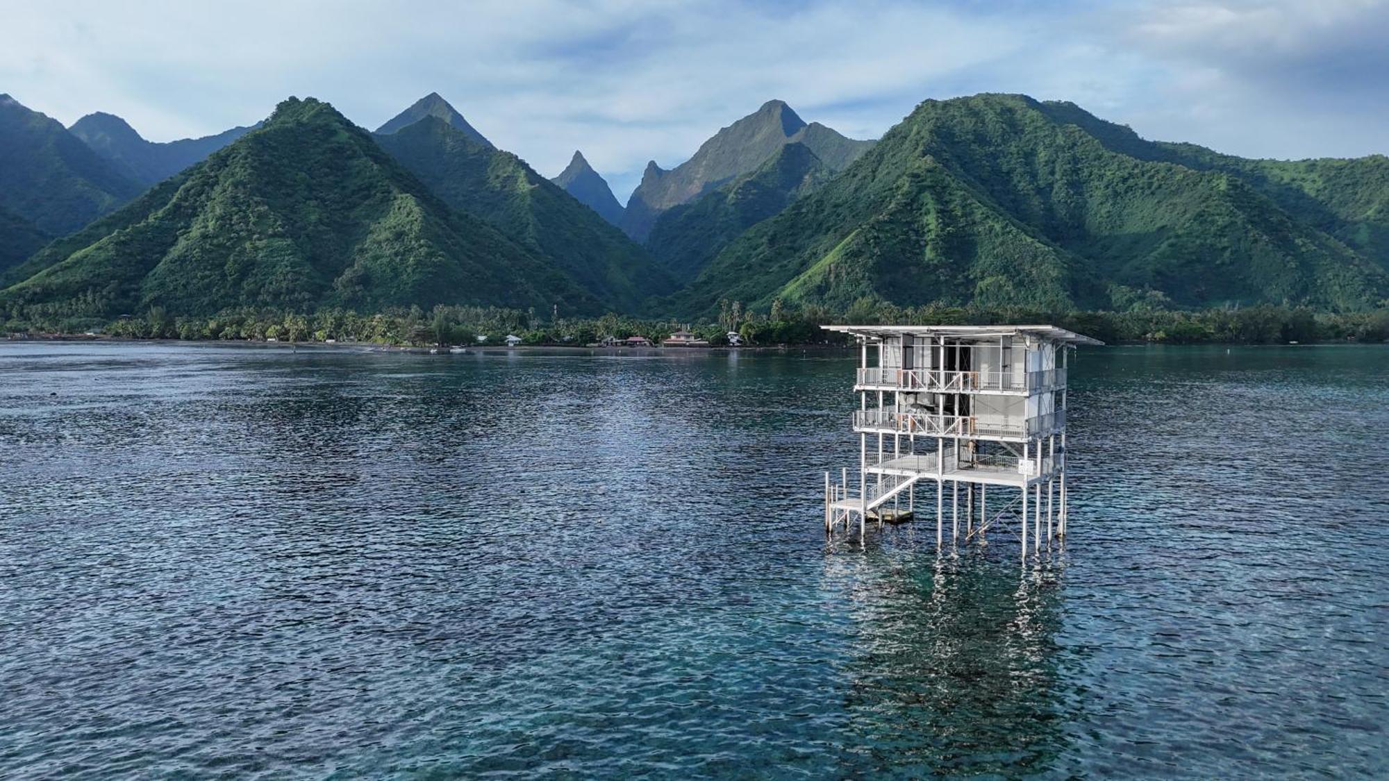 Hava'E Lodge Teahupoo Eksteriør billede