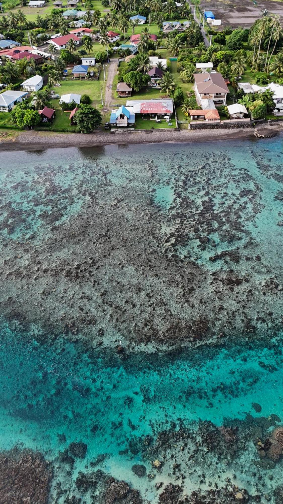 Hava'E Lodge Teahupoo Eksteriør billede